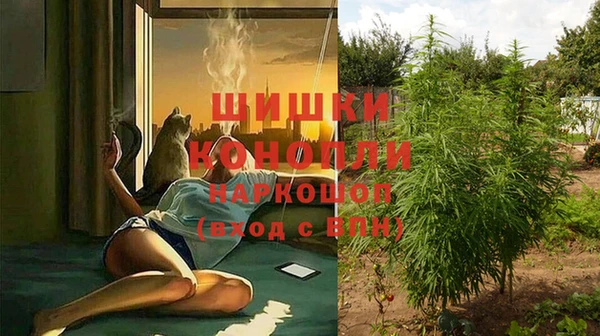 ALPHA PVP Заволжск