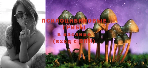 MDMA Premium VHQ Заводоуковск